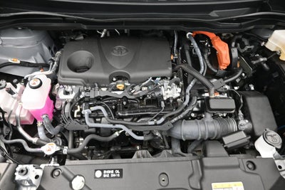 2025 Toyota Sienna Woodland Edition
