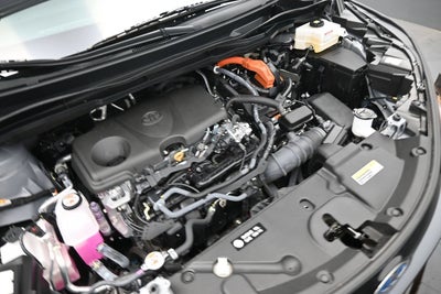 2025 Toyota Sienna Woodland Edition
