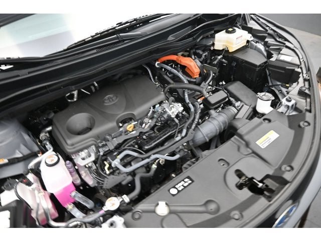 2025 Toyota Sienna Woodland Edition