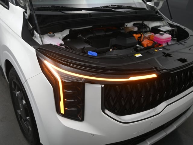 2025 Kia Carnival Hybrid EX
