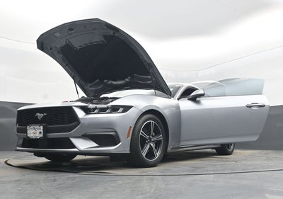2024 Ford Mustang EcoBoost Fastback