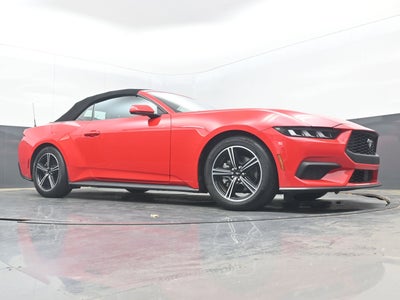 2024 Ford Mustang EcoBoost Convertible
