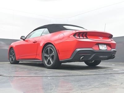 2024 Ford Mustang EcoBoost Convertible