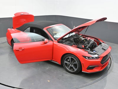 2024 Ford Mustang EcoBoost Convertible