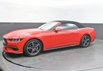 2024 Ford Mustang EcoBoost Convertible