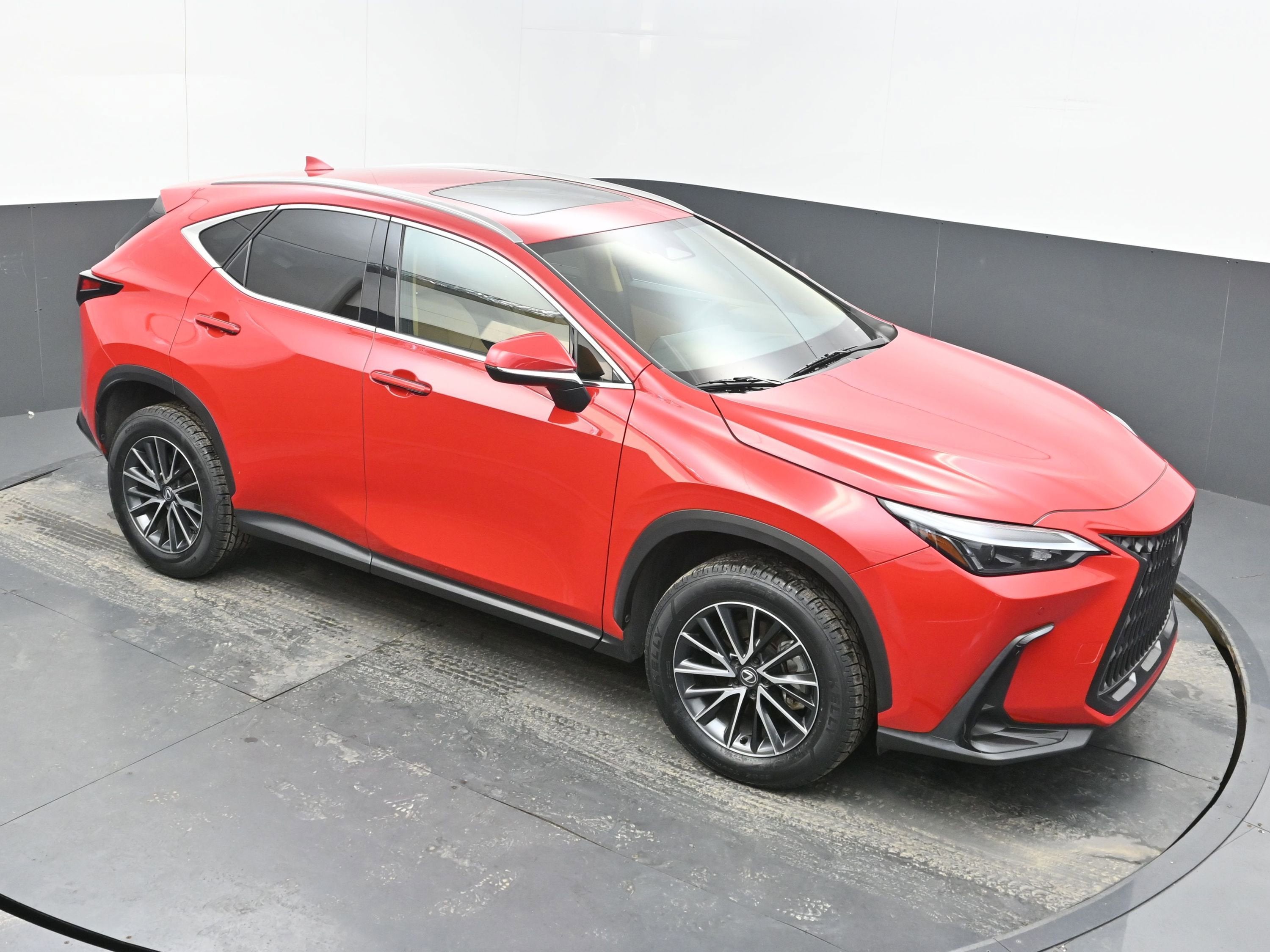 2025 Lexus NX 250 Premium