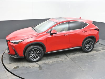 2025 Lexus NX 250 Premium