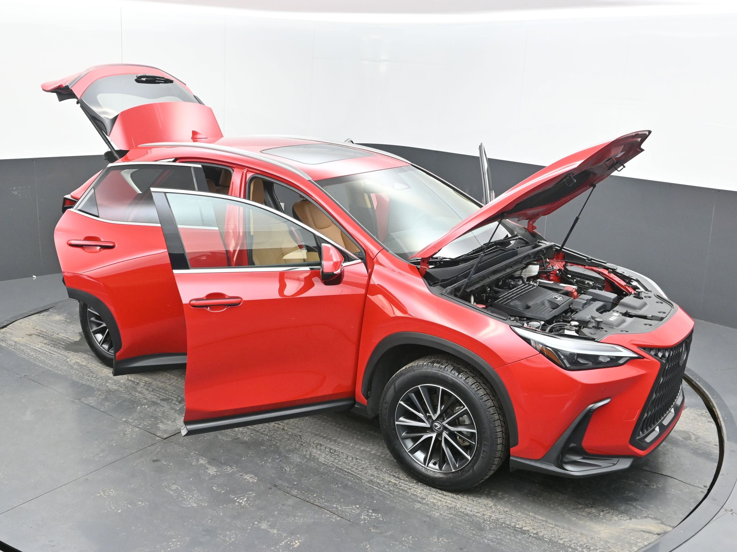 2025 Lexus NX 250 Premium