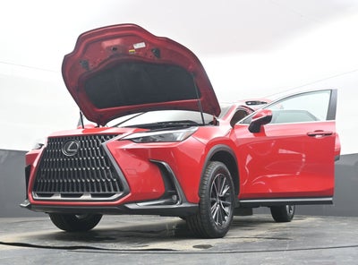 2025 Lexus NX 250 Premium